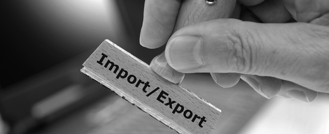 illegal immigration2