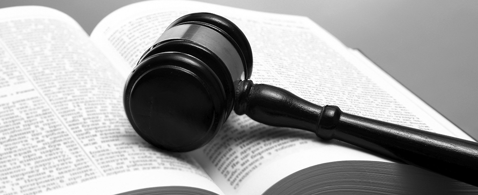 Interpreting the Constitution